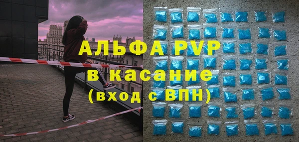 амф Верея