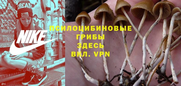 амф Верея