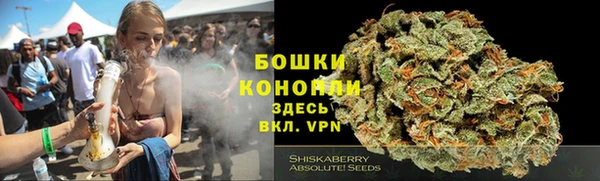 сатива Усмань