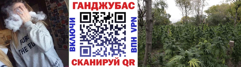 Шишки марихуана тримм  Новоржев 